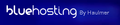 bluehosting.cl logo